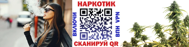 Как найти наркотики Приозерск ГАШ  Кокаин  АМФ  Бошки Шишки  Меф  СК 